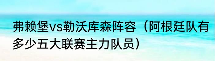 弗赖堡vs勒沃库森阵容（阿根廷队有多少五大联赛主力队员）