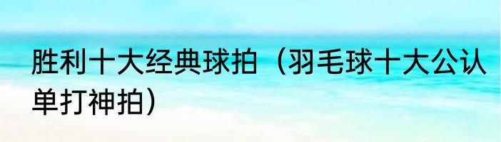 胜利十大经典球拍（羽毛球十大公认单打神拍）