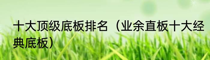 十大顶级底板排名（业余直板十大经典底板）