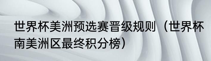 世界杯美洲预选赛晋级规则（世界杯南美洲区最终积分榜）