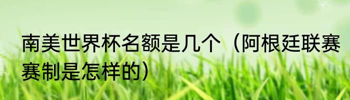 南美世界杯名额是几个（阿根廷联赛赛制是怎样的）