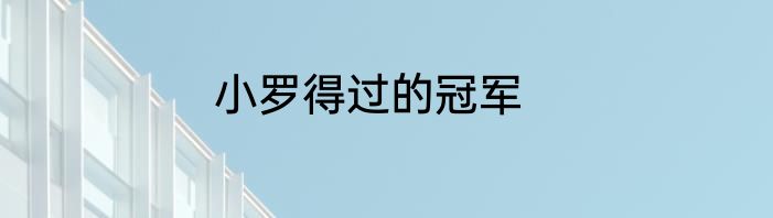 小罗得过的冠军