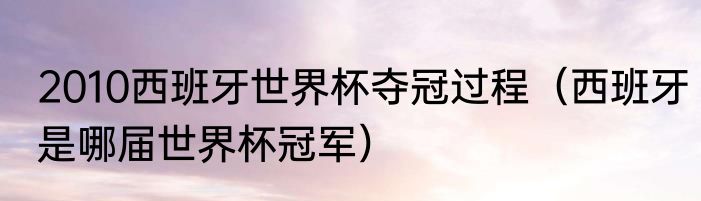 2010西班牙世界杯夺冠过程（西班牙是哪届世界杯冠军）