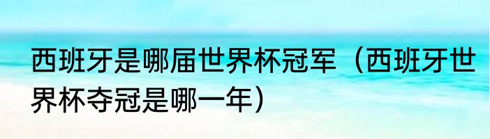 西班牙是哪届世界杯冠军（西班牙世界杯夺冠是哪一年）