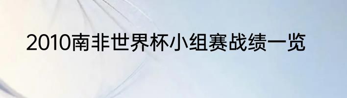 2010南非世界杯小组赛战绩一览