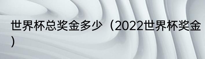 世界杯总奖金多少（2022世界杯奖金）