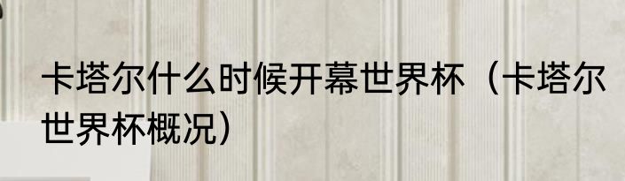 卡塔尔什么时候开幕世界杯（卡塔尔世界杯概况）