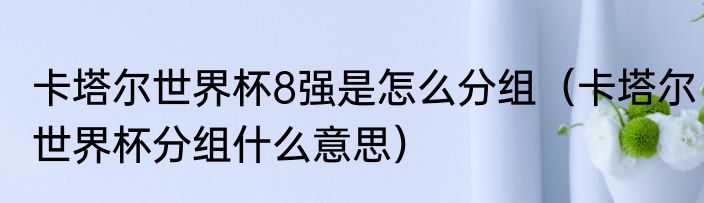 卡塔尔世界杯8强是怎么分组（卡塔尔世界杯分组什么意思）