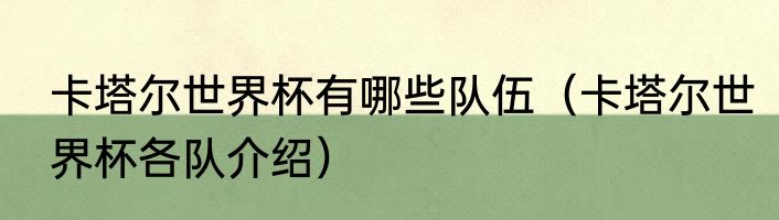 卡塔尔世界杯有哪些队伍（卡塔尔世界杯各队介绍）