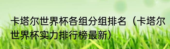 卡塔尔世界杯各组分组排名（卡塔尔世界杯实力排行榜最新）