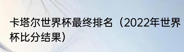 卡塔尔世界杯最终排名（2022年世界杯比分结果）