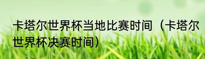 卡塔尔世界杯当地比赛时间（卡塔尔世界杯决赛时间）