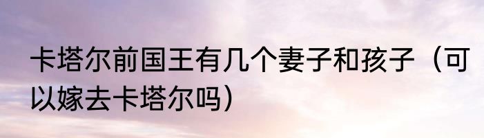 卡塔尔前国王有几个妻子和孩子（可以嫁去卡塔尔吗）