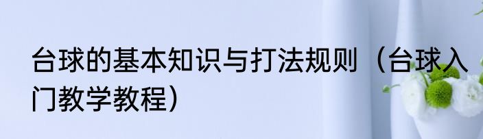 台球的基本知识与打法规则（台球入门教学教程）