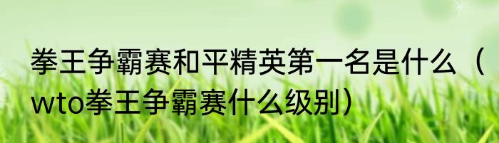拳王争霸赛和平精英第一名是什么（wto拳王争霸赛什么级别）