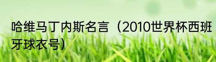 哈维马丁内斯名言（2010世界杯西班牙球衣号）