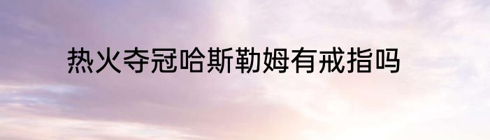 热火夺冠哈斯勒姆有戒指吗