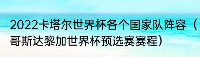2022卡塔尔世界杯各个国家队阵容（哥斯达黎加世界杯预选赛赛程）