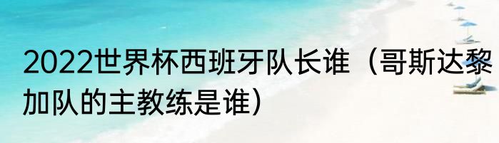 2022世界杯西班牙队长谁（哥斯达黎加队的主教练是谁）