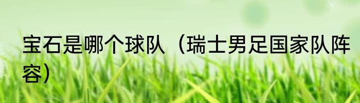 宝石是哪个球队（瑞士男足国家队阵容）