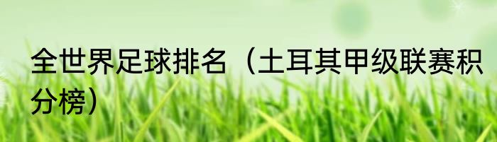 全世界足球排名（土耳其甲级联赛积分榜）