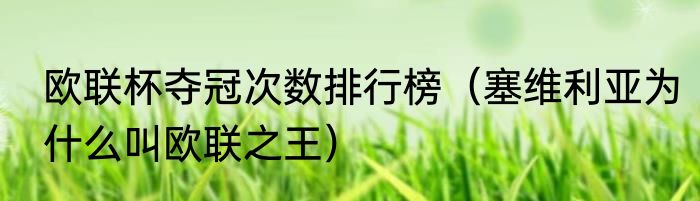 欧联杯夺冠次数排行榜（塞维利亚为什么叫欧联之王）