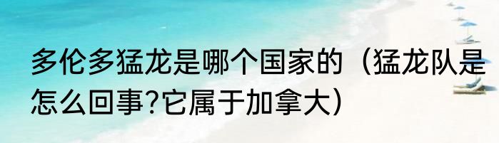 多伦多猛龙是哪个国家的（猛龙队是怎么回事?它属于加拿大）