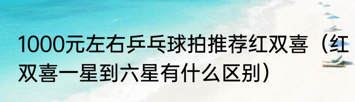 1000元左右乒乓球拍推荐红双喜（红双喜一星到六星有什么区别）