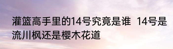 灌篮高手里的14号究竟是谁  14号是流川枫还是樱木花道