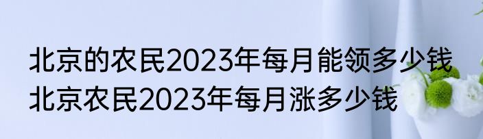 北京的农民2023年每月能领多少钱  北京农民2023年每月涨多少钱