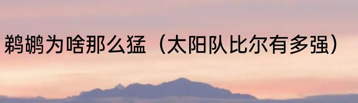 鹈鹕为啥那么猛（太阳队比尔有多强）