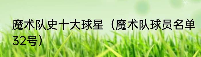 魔术队史十大球星（魔术队球员名单32号）