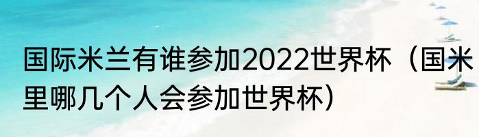 国际米兰有谁参加2022世界杯（国米里哪几个人会参加世界杯）