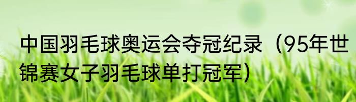 中国羽毛球奥运会夺冠纪录（95年世锦赛女子羽毛球单打冠军）