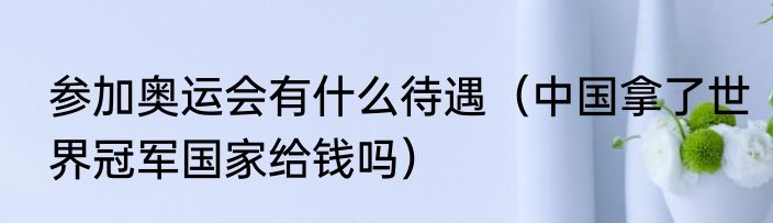 参加奥运会有什么待遇（中国拿了世界冠军国家给钱吗）