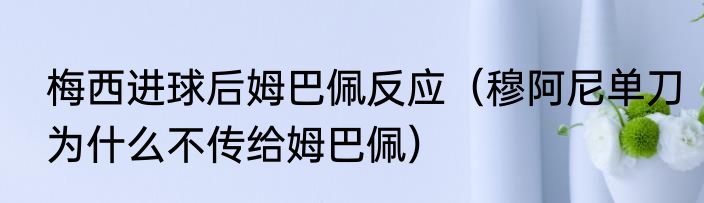 梅西进球后姆巴佩反应（穆阿尼单刀为什么不传给姆巴佩）