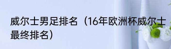 威尔士男足排名（16年欧洲杯威尔士最终排名）