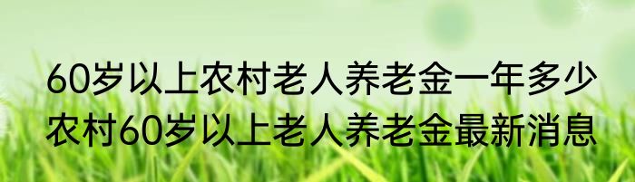 60岁以上农村老人养老金一年多少 农村60岁以上老人养老金最新消息