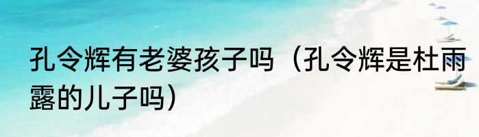 孔令辉有老婆孩子吗（孔令辉是杜雨露的儿子吗）