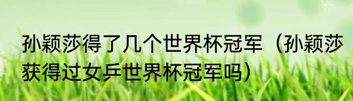 孙颖莎得了几个世界杯冠军（孙颖莎获得过女乒世界杯冠军吗）