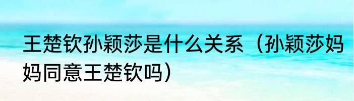 王楚钦孙颖莎是什么关系（孙颖莎妈妈同意王楚钦吗）