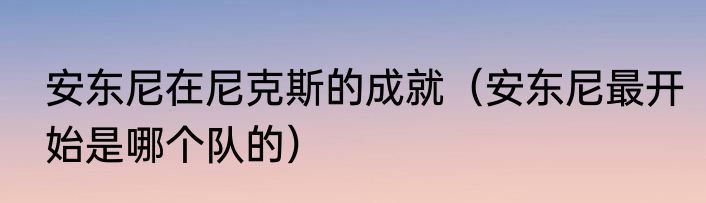 安东尼在尼克斯的成就（安东尼最开始是哪个队的）