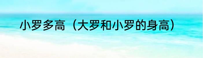 小罗多高（大罗和小罗的身高）
