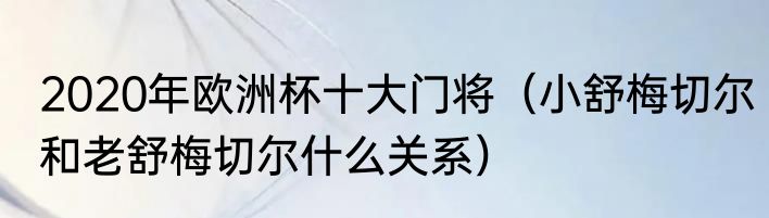 2020年欧洲杯十大门将（小舒梅切尔和老舒梅切尔什么关系）