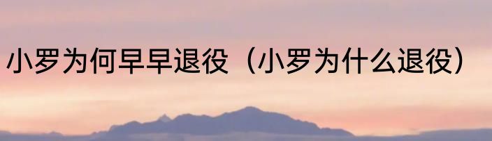 小罗为何早早退役（小罗为什么退役）