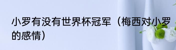 小罗有没有世界杯冠军（梅西对小罗的感情）
