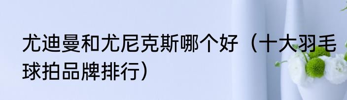 尤迪曼和尤尼克斯哪个好（十大羽毛球拍品牌排行）