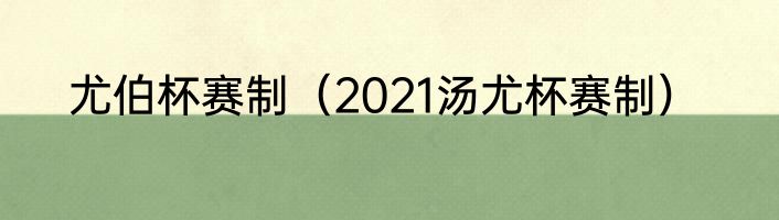 尤伯杯赛制（2021汤尤杯赛制）