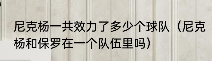 尼克杨一共效力了多少个球队（尼克杨和保罗在一个队伍里吗）