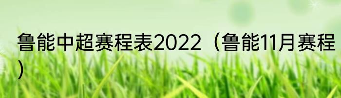 鲁能中超赛程表2022（鲁能11月赛程）